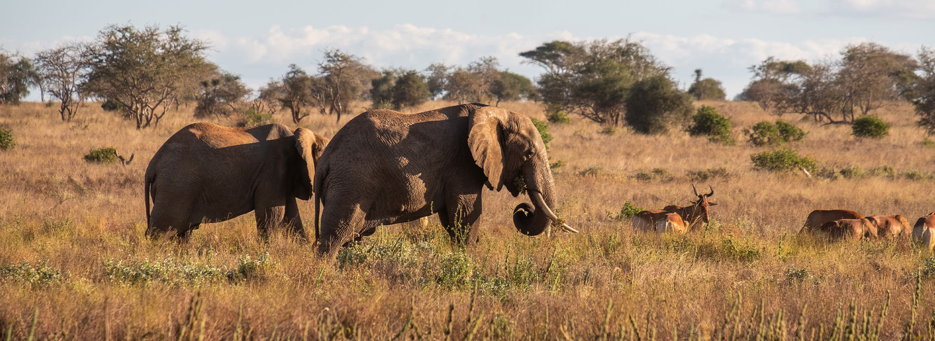 Kenya 