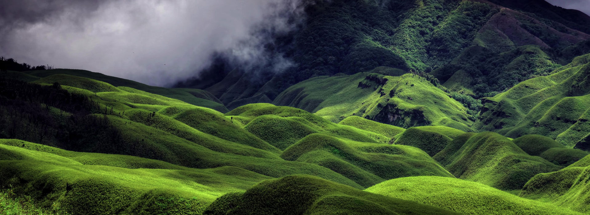 Nagaland 